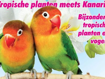 Dierendagweekend 5 en 6 oktober