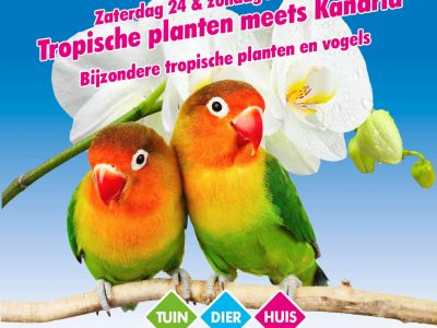 tropische vogelshow