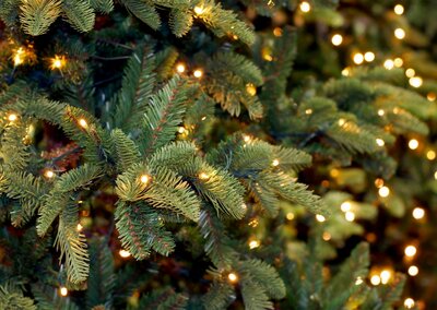 Alle voor- en nadelen van kerstbomen en kunstkerstbomen