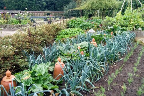 Moestuin benodigdheden kopen