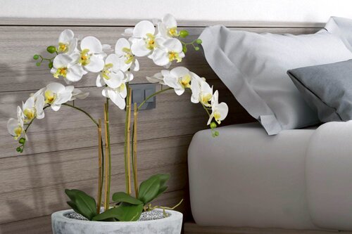 Kunst bloemen en planten