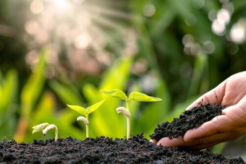 Aarde en meststoffen