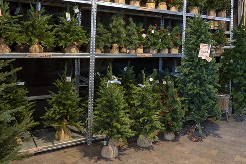 Kerstbomen