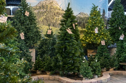 Kerstbomen
