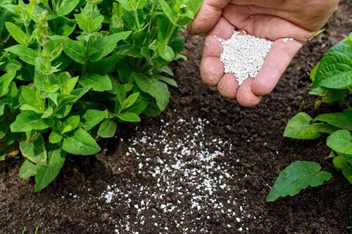 Meststoffen tuinplanten